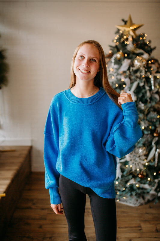 Blue/Ivory Solid Sweater